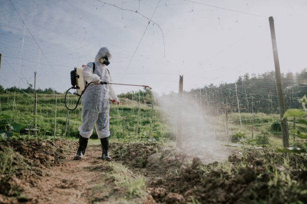 Best Best Pest Control Companies  in Winchester, MO