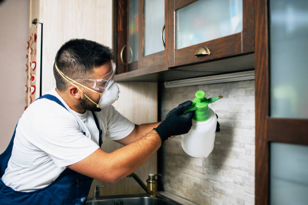 Professional Pest Control in Winchester, MO