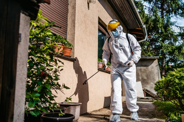 Best Flea Control Services  in Winchester, MO