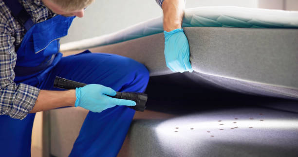 Best Exterminator Services  in Winchester, MO