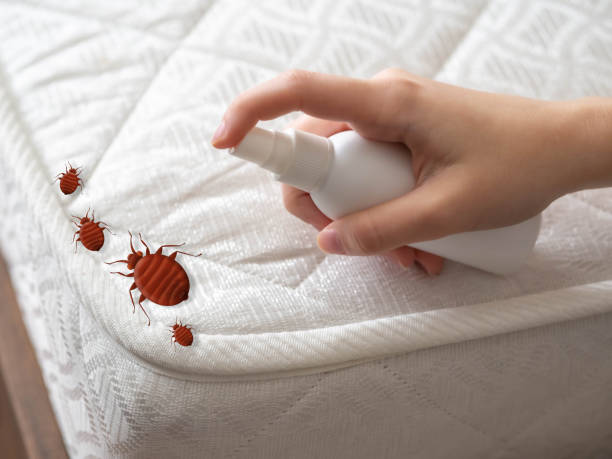 Best Affordable Pest Control Services  in Winchester, MO