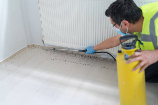 Best Pest Inspection Near Me  in Winchester, MO