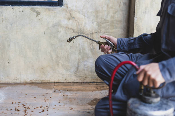 Best Best Pest Control Companies  in Winchester, MO